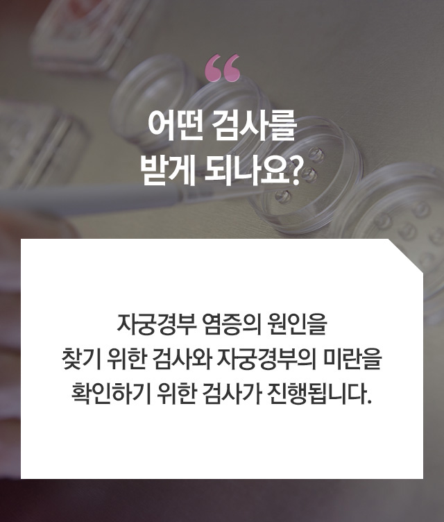 자궁경부미란 - 로앤산부인과